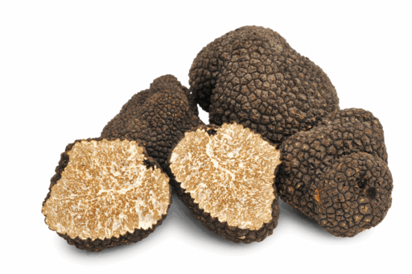 Verse zomertruffel (Tuber Aestivum Vitt.)